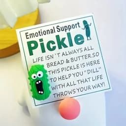 Emotional Support Pickle Hug Card, Funny & Sincere PVC Gift for Mom Friend Teacher, Novelty Present for Birthday Christmas.