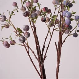 gardening fruit ornaments, long branches with frost, small apples fun plants, Christmas festive flower arrangement customization