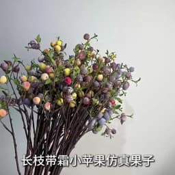 gardening fruit ornaments, long branches with frost, small apples fun plants, Christmas festive flower arrangement customization