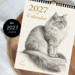 1pc 2027 Wall Calendar, Realistic Sketch Cat Theme, 12-Month Monthly Planner, Perfect Gift For Birthdays, Christmas, New Year