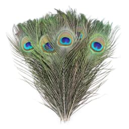 Natural Peacock Feathers DIY Craft Vase Home Decor Wedding Party Decoration Halloween Christmas Costume Performance DIY Art