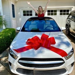 Big Car Bow 30Inch Giant Car Bow for Birthday Christmas Wedding Reception Surprise Party Large Gift Wrapping Bows Huge Present
