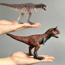 High Detail Carnotaurus Dinosaur Toy, Solid Plastic Lifelike Dino Figurine, Birthday Christmas Gift for Kids Boys & Girls