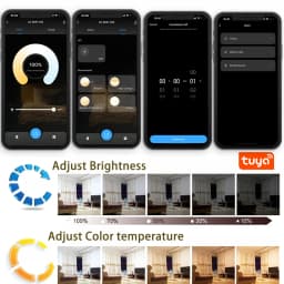 Mini Tuya Wifi Led Dimmer DC12 DC24V 5050 COB CCT/RGB/RGBW/RGBCCT Led Light Strip Single Color Controller Voice for Alexa Google