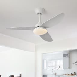 25/40 Inch Ceiling Fans With Lights Led 3 Color 6 Speeds DC Motor Fans Remote Control Low Floor Decorative Fans With Lighting