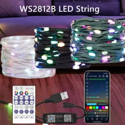 WS2812B RGB LED StringTransparent Green Black Wire Addressable Wedding Garland Decoration Christmas Lights USB Controller DC5V