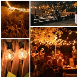 G40 Led Replacement Bulb 1W E12 Base Globe Edison Lamp 2200K Ice Diamond Amber Glass Golfball Vintage Light Bulb For String Ligh