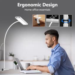 LED Desk Lamp for Office Home, Eye-Caring Desk Light Lamp with Stepless Dimming Adjustable Flexible Gooseneck And Light Color