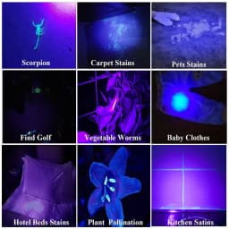 Mini 395nm UV Flashlight Portable LED Ultraviolet Blacklight Money Inspection Penlight with Clip Pet Urine Stains Detector Torch