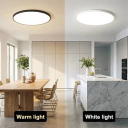Modern Round LED Ceiling Light 40W Decorative Home Lighting Fixture for Living Room Bedroom Indoor Kitchen