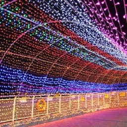 holiday Led christmas lights outdoor 20M 10M led string lights decoration for party holiday wedding Garland