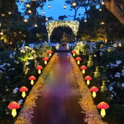 Solar Crack Mushroom Garden Lights Outdoor Pathway Lights Made of Durable ABS for Yards Weddings Christmas Lawn Decorations