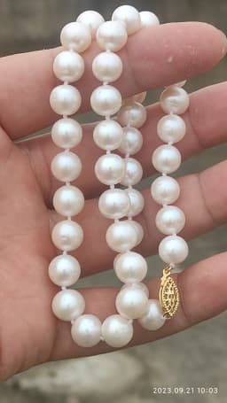 AAA++++8-9mm Circular Natural Akoya White Pearl Necklace 18'