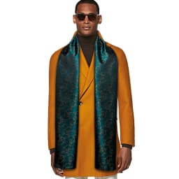 Barry.Wang Mens Scarf Jacquard Floral Paisley Casual Formal Gold Green Red Blue Purple Gray For Male Wedding Business Party