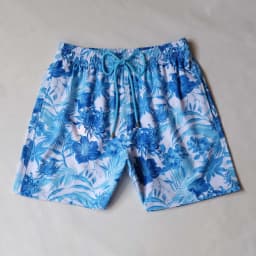 High Quality Men's Luxury Beach Shorts, Swimwear Suitable for Water, Stretchy, with Inner Mesh, Quick-Drying Turtles Surfing Swim Trunks Crankshaft
