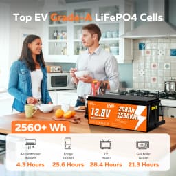 CTOLITY 2560Wh 12V 200Ah LiFePO4 RV Battery Low Temp Cutoff - Built-in 200A BMS - Deep Cycle for Camper, Trolling Motor RV