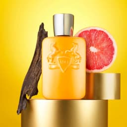 Perseus Eau De Parfum 125ml 4.2fl.oz Men's Perfume Citrus Woody Scent
