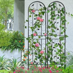 2 Pack Decorative Metal Garden Fence Tall Climbing Plants Fencing Barrier
