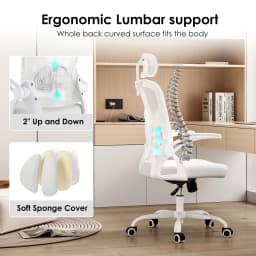 Farini Ergonomic Office Chair, Home Office Desk Chair with Adjustable Lumbar Support, Headrest & Armrest, High Back Computer Chair for Work, Study