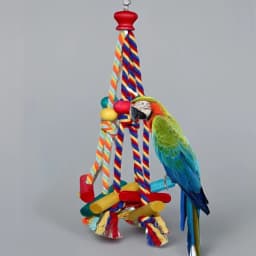Cage Hanging Rope Bird Climbing Chewing Toys Multicolored Natural Wooden Bird Chewing Toys for Conure Cockatiel Budgies