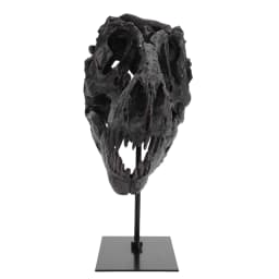 Dinosaur Fossil Figurine Resin Replica Head Sculptures with Bracket Skull Sculptures Home Office Decorations