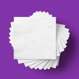 100ct 2-Ply Premium Disposable Napkins