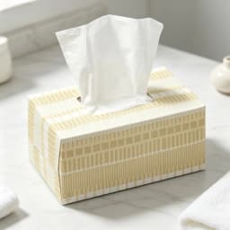 Everyday Facial Tissue, 160 Count 2-Ply Rectangle Box, Soft Disposable Tissues for Home, Bathroom & Daily Use