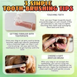 Low-Irritation Pet Toothpaste For Teeth Cleaning