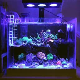 Spectra Nano M029 Aquarium Light 30W/40W Saltwater Lighting With Touch Control For Coral Reef Fish Tank-1