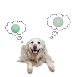 Reflective Solid Dog Toys Ball Pets Dogs Bouncing Ball Toys Pet Training Cat Toy Ball Puppy Interactive Play Toy Pet Supplies