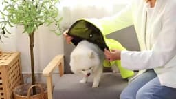 Waterproof Winter Dog Coat Pet Clothes Puppy Clothing Vest Warm Dog Clothes French Bulldog Chihuahua Small Dog Ropa Para Perros