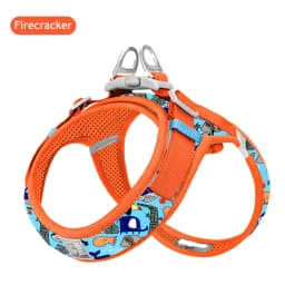 Truelove Floral Printing Mesh Harness for Dogs and Cats Small and Medium Breeds All Weather Adjustable Summer Walking TLH30131
