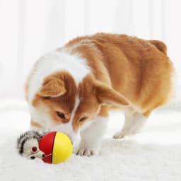 Beaver Mouse Electric Ball Toy Rolling Ball Jump Toys Moving In The Water Toys Pet Supplies