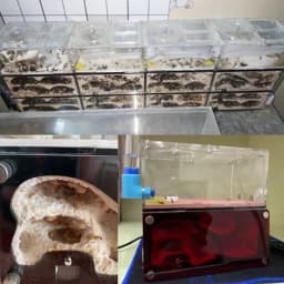 Concrete Ant Farm Intelligent Temperature Control Ants Nest Spliceable Expanded Anthill Ant House Acrylic Ant Kennel Insect Box
