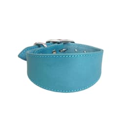 Wide Padded Dogs Collar Genuine Leathers Puppy Collars for Lurchers Italian Greyhounds Comfortable Pet Dogs Accessories B03E