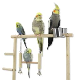 Parrot Playstand Bird Plays Stand Cockatiel Playground Wooden Perch Gym Playground Ladder with Metal Feeder Plate Toy