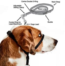 Adjustable Nylon Dog Pet Dog Padded Head Collar Gentle Halter Leash Leader Stop Pulling Training Muzzle Tools dog accessories