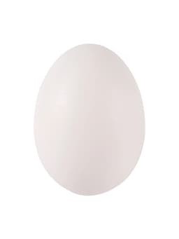 5Pcs Simulated Pigeon Eggs Simulated Fake Eggs Bird Racing Pigeon Hatching Supplies Bird Raising Tools Nest Hatching Eggs