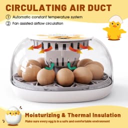 Household Small Chicken, Duck, Goose Egg Incubator Automatically Add Water Intelligent Temperature Control 12 Incubators