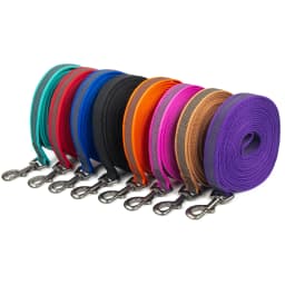 1.5M 2M 3M 15M Medium Small Long Dog Leash 10M Latex Silk Easy and Convenient Light Training Big Dog Leashes 5 Meter