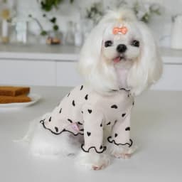 Autumn and Winter Pet Undercoat Clothes Embroidered Bear Waffle Home Vest Dog Cat Yorkshire Schnauzer Maltese New Year Christmas