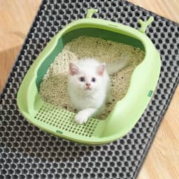Cat Litter Mat Pet Toilet Waterproof Double Layer Pet Litter Box Mat Nonslip Sand Cat Washable Mat Clean Pad Pet Clean Supplies