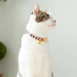 1Pc Colorful Cute Bell Collar Adjustable Buckle Cat Collar Pet Supplies Footprint Personalized Kitten Collar Small Dog Accessory