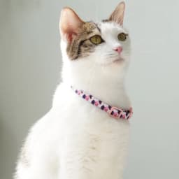 1Pc Colorful Cute Bell Collar Adjustable Buckle Cat Collar Pet Supplies Footprint Personalized Kitten Collar Small Dog Accessory