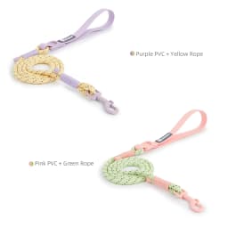 Pet Supplies Dog Collar For Small and Medium Dog Walking Sugar Color Series Cute Style PVC Webbing Collar Leashes Set New Arriva