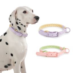 Pet Supplies Dog Collar For Small and Medium Dog Walking Sugar Color Series Cute Style PVC Webbing Collar Leashes Set New Arriva