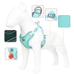Mesh Breathable Pet Harness for Small Medium Dogs Outdoor Puppy Dog Harnesses and Leash for Walking Pomeranian Mascotas Supplies