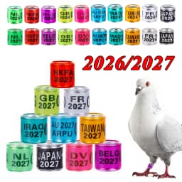 100Pcs 2026/2027 Year Multicolor Pigeon Foot Ring With Number Bird Pigeon Doves Training Racing Identification Leg Ring 10 Color