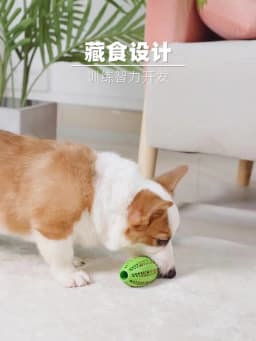 New Pet Dog Toy Interactive Rubber Balls for Small Large Dogs Puppy Cat Chewing Toys Pet Tooth Cleaning Indestructible Dog Ball