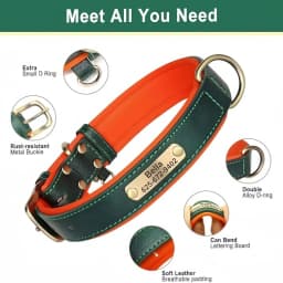Customized Dog Collar Soft Padded Leather Pet Collar For Small Medium Large Dogs With Free Engraved Nameplate ID Tag Anti-lost